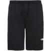 THE NORTH FACE Graphic Light Short rövidnadrág