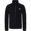 THE NORTH FACE Evolve II Triclimate 3in1 kabát