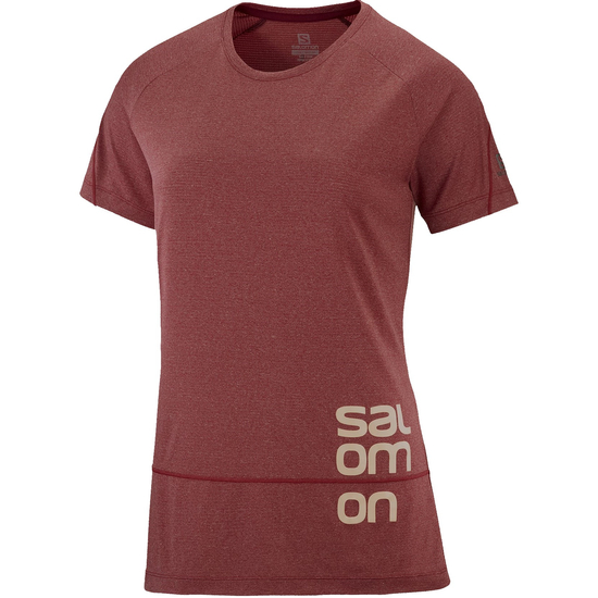 SALOMON Cross Run Graphic Tee női póló