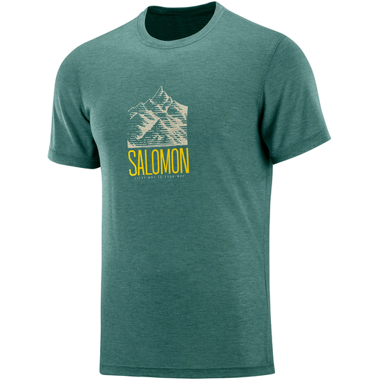 SALOMON Explore Graphic SS Tee férfi póló